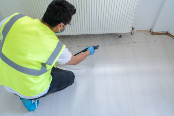 Best Fumigation Services  in Burkburnett, TX